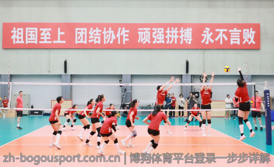 博狗体育平台登录一步步详解